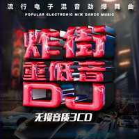 重低音DJ舞曲