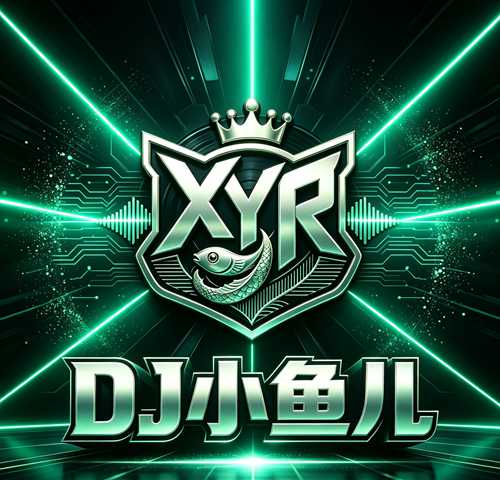 公主要抱抱 (DJ小鱼儿 Rmx 抖音DJ)车载版