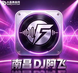 南昌DJ阿飞-中英文Electro（提笔忘情.哦累累哦啦啦）VIP私货专辑