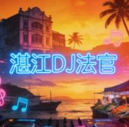 湛江DJ法官-潇洒走一回全国语Electro大头针抖音翻唱专辑
