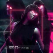广东DJ志强-精选抖音BGM（眼泪的讯息.像鱼.目及皆是你）精品车载连版串烧