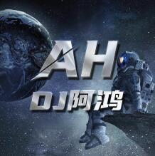 丰城DJ阿鸿 丰城DJ阿伟-国粤语Electro（捱生两三千.生而平凡）超嗨车载串烧