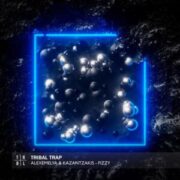 海南DJ苏洋-磁性女声张玮伽（变了心的人.独角戏.海浪.黄昏）天籁级发烧音乐串烧