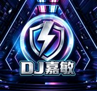 中山DJ嘉敏-全国语Electro音乐百听不厌高速车载音乐v196串烧