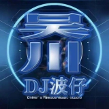 吴川DJ波仔-全粤语Electro音乐打造（成王败寇.枪火.不再犹豫）劲嗨慢摇串烧